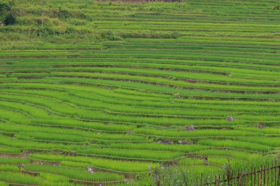 Kho gạo của Huỳnh Tuấn 75